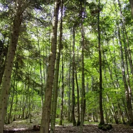 Maison 4-6 Personnes Proche Gerardmer Σπίτι διακοπών Aumontzey