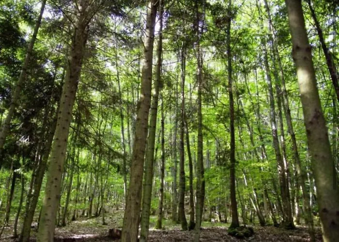Maison 4-6 Personnes Proche Gerardmer Prázdninový dům Aumontzey